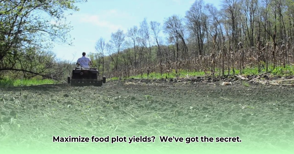 food-plot-seed-tractor-supply